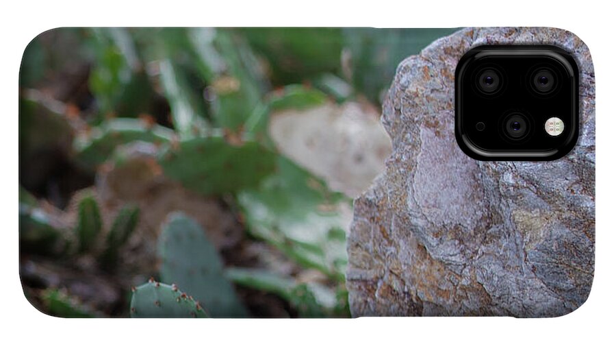 Cacti IV - Phone Case