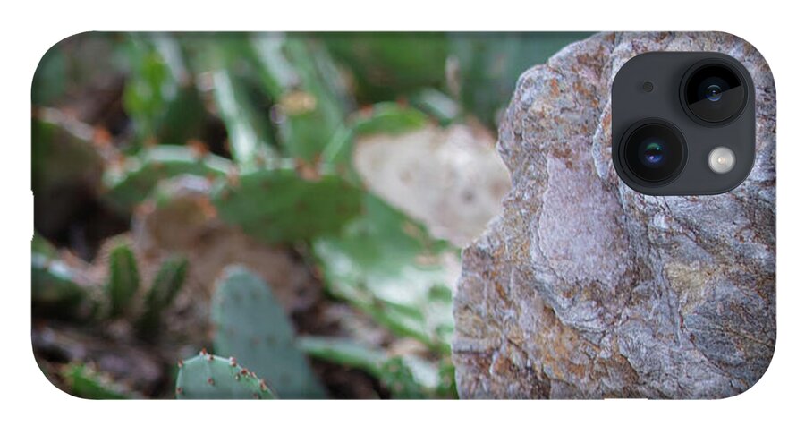 Cacti IV - Phone Case