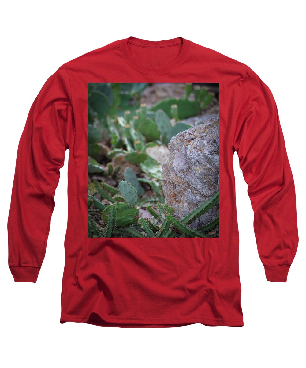Cacti IV - Long Sleeve T-Shirt