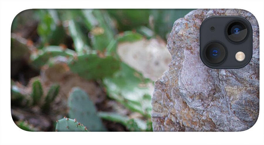 Cacti IV - Phone Case