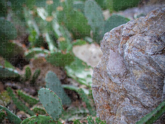 Cacti IV - Puzzle