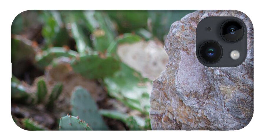 Cacti IV - Phone Case