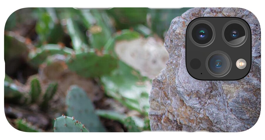 Cacti IV - Phone Case