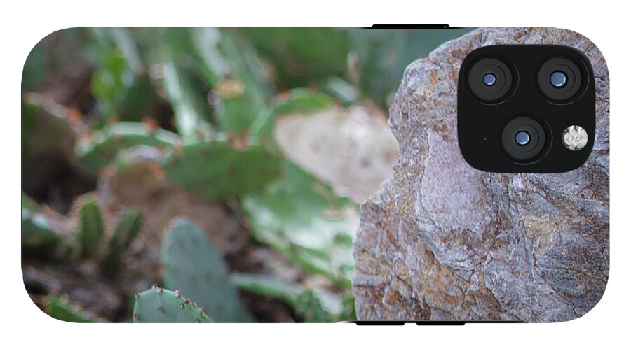 Cacti IV - Phone Case