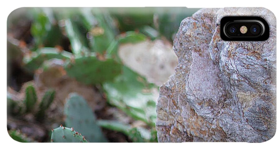 Cacti IV - Phone Case