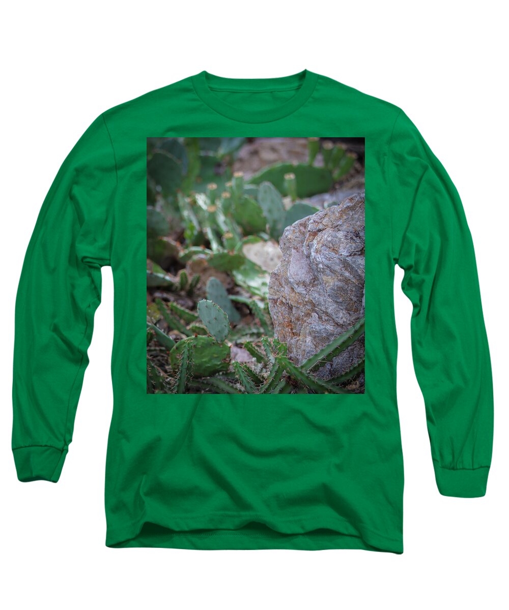 Cacti IV - Long Sleeve T-Shirt