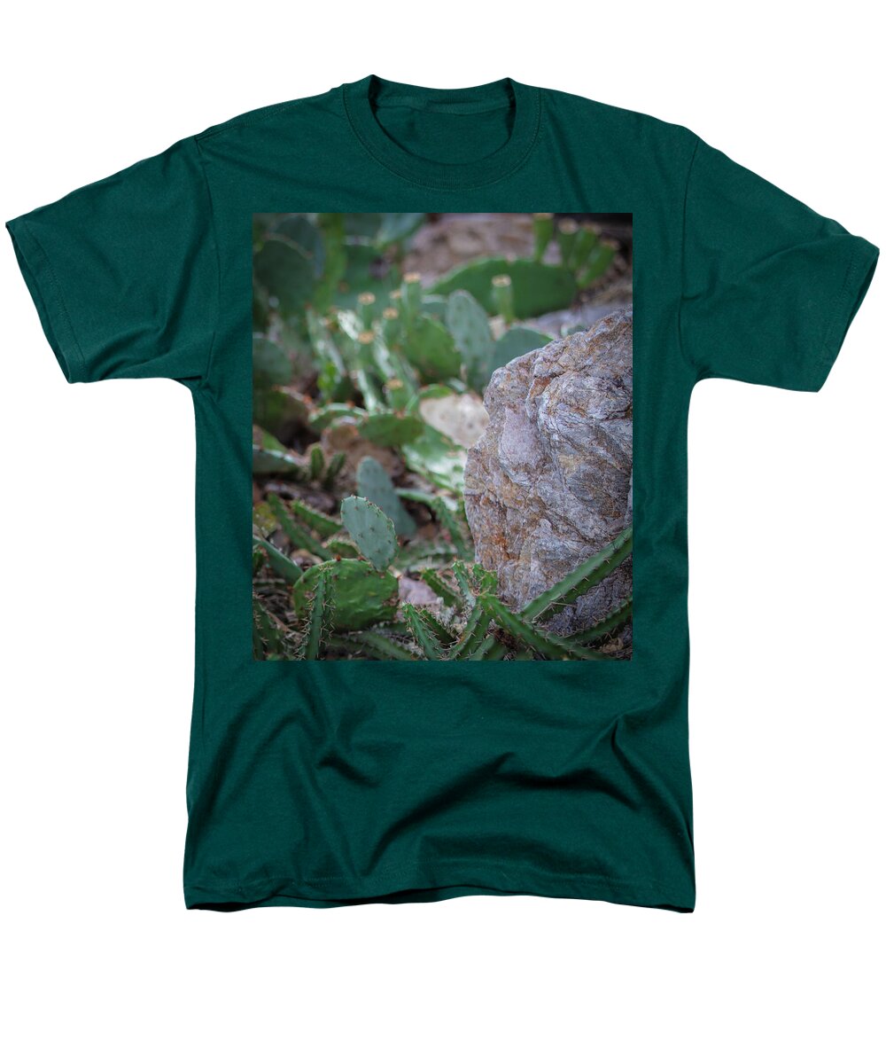 Cacti IV - Men's T-Shirt  (Regular Fit)