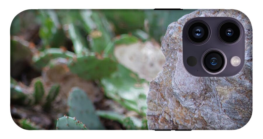 Cacti IV - Phone Case