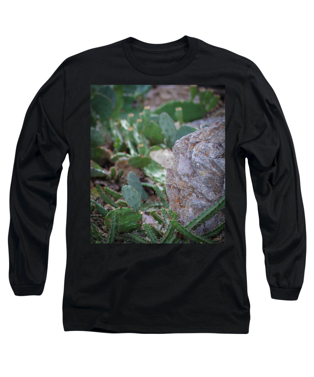 Cacti IV - Long Sleeve T-Shirt