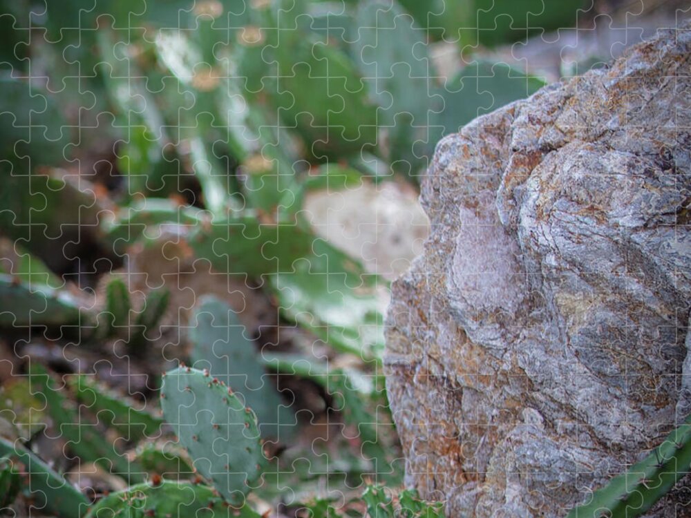 Cacti IV - Puzzle