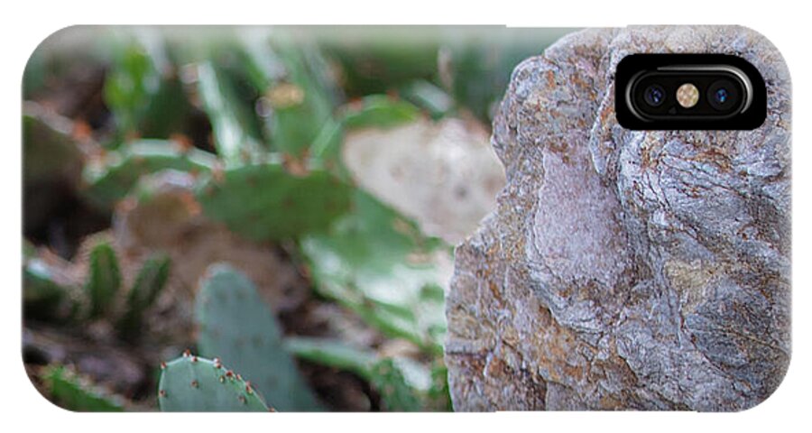 Cacti IV - Phone Case