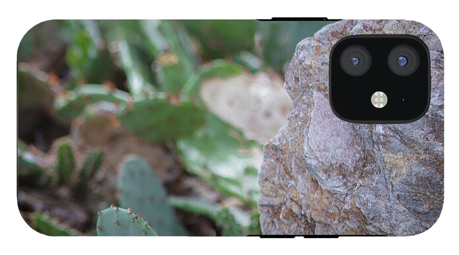 Cacti IV - Phone Case