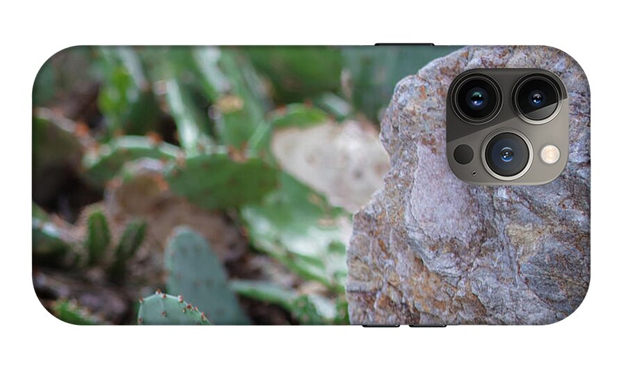 Cacti IV - Phone Case