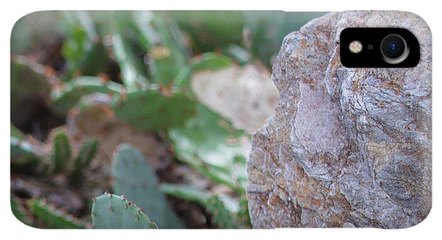 Cacti IV - Phone Case