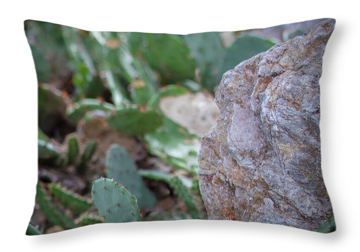 Cacti IV - Throw Pillow