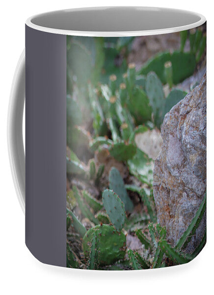 Cacti IV - Mug