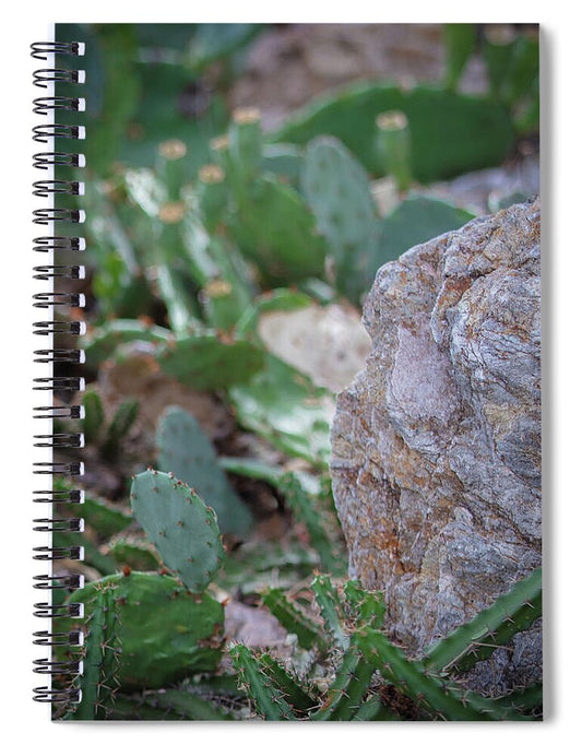 Cacti IV - Spiral Notebook