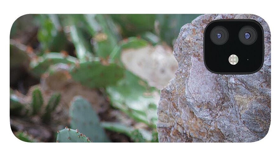 Cacti IV - Phone Case