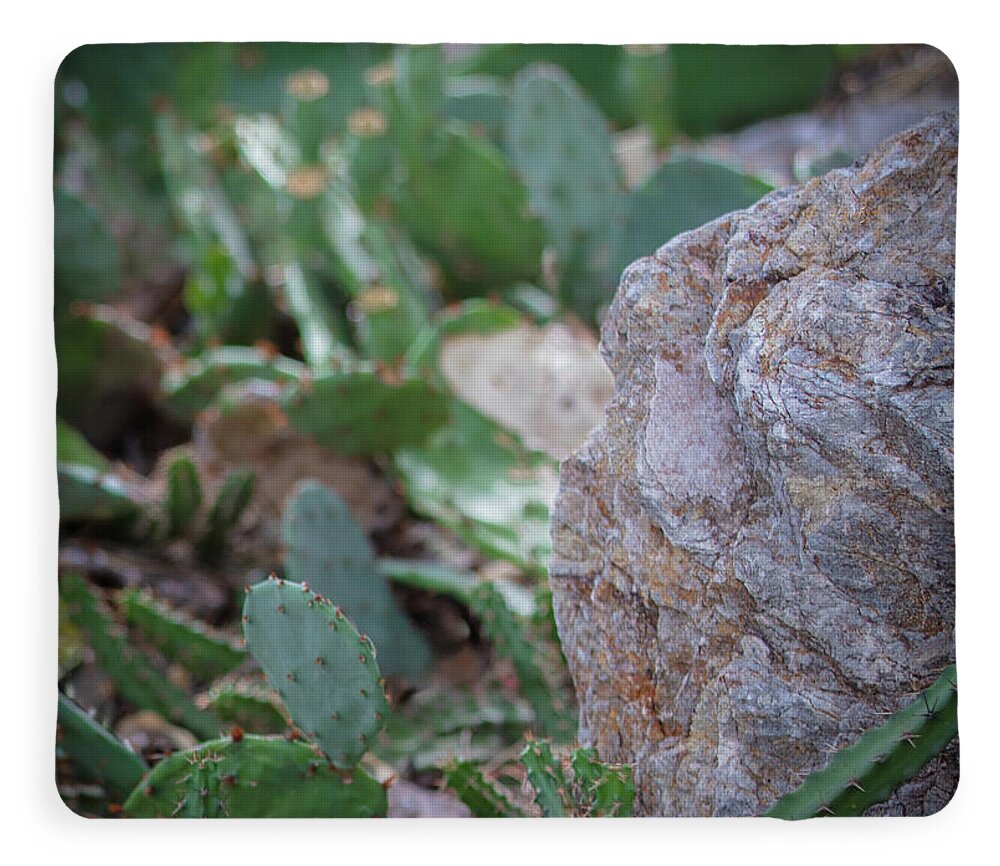 Cacti IV - Blanket