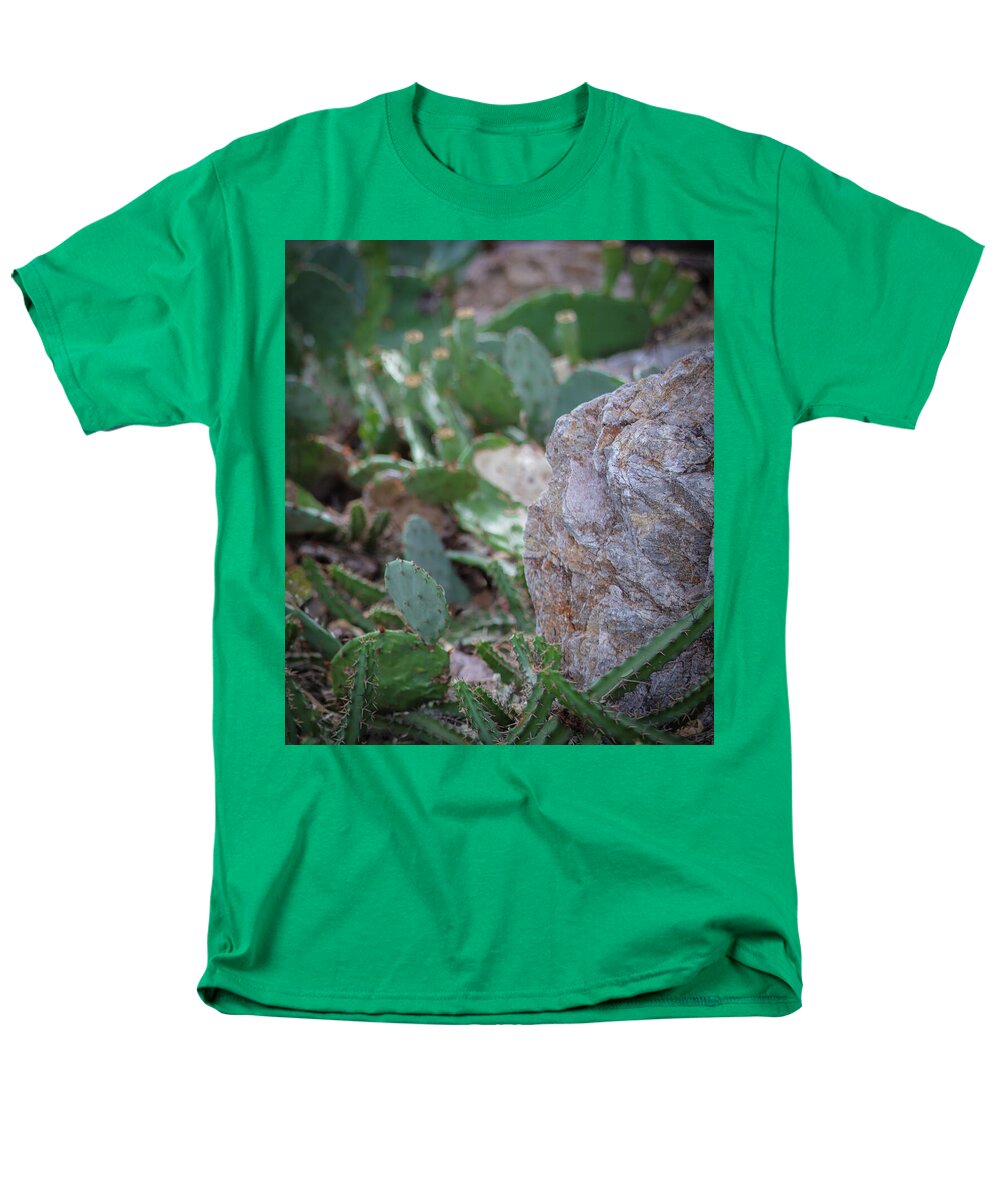 Cacti IV - Men's T-Shirt  (Regular Fit)