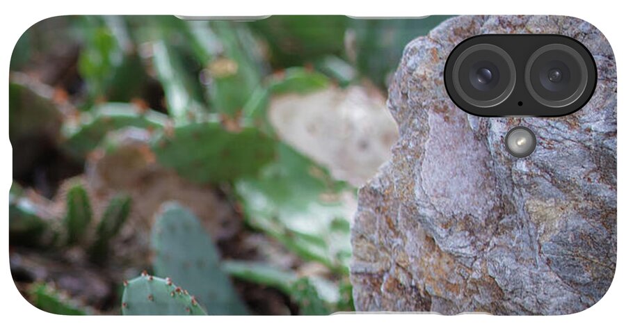 Cacti IV - Phone Case