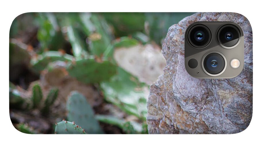 Cacti IV - Phone Case