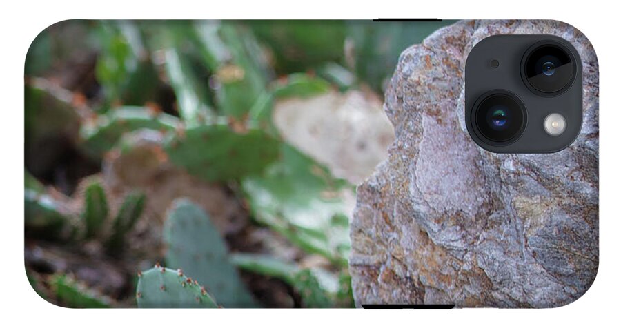 Cacti IV - Phone Case