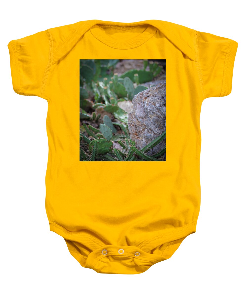 Cacti IV - Baby Onesie