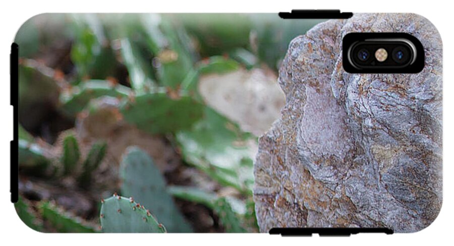 Cacti IV - Phone Case