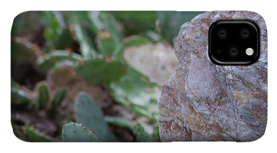 Cacti IV - Phone Case