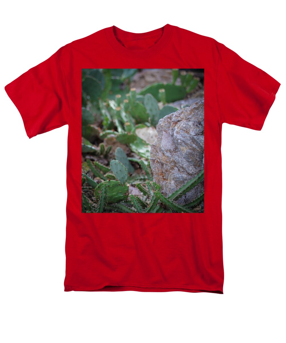 Cacti IV - Men's T-Shirt  (Regular Fit)