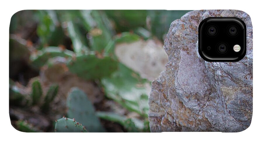 Cacti IV - Phone Case