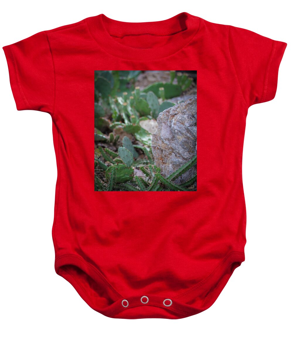 Cacti IV - Baby Onesie