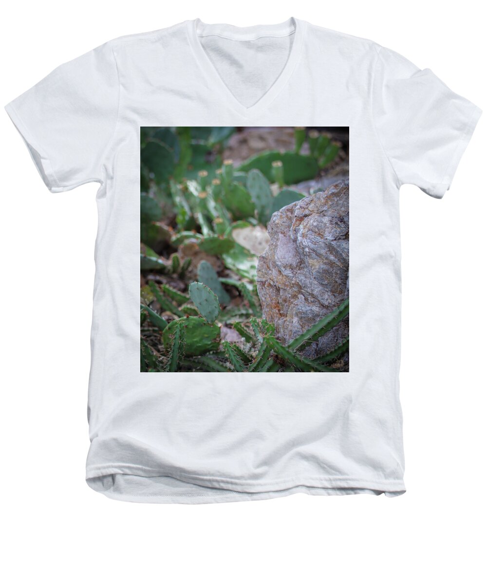 Cacti IV - Men's V-Neck T-Shirt