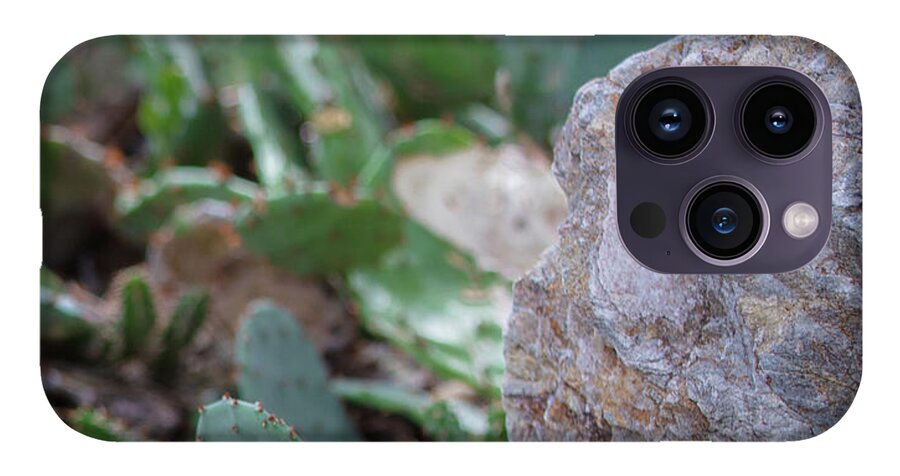 Cacti IV - Phone Case