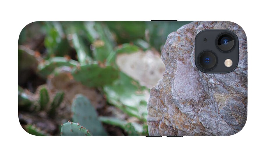 Cacti IV - Phone Case