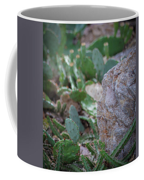 Cacti IV - Mug