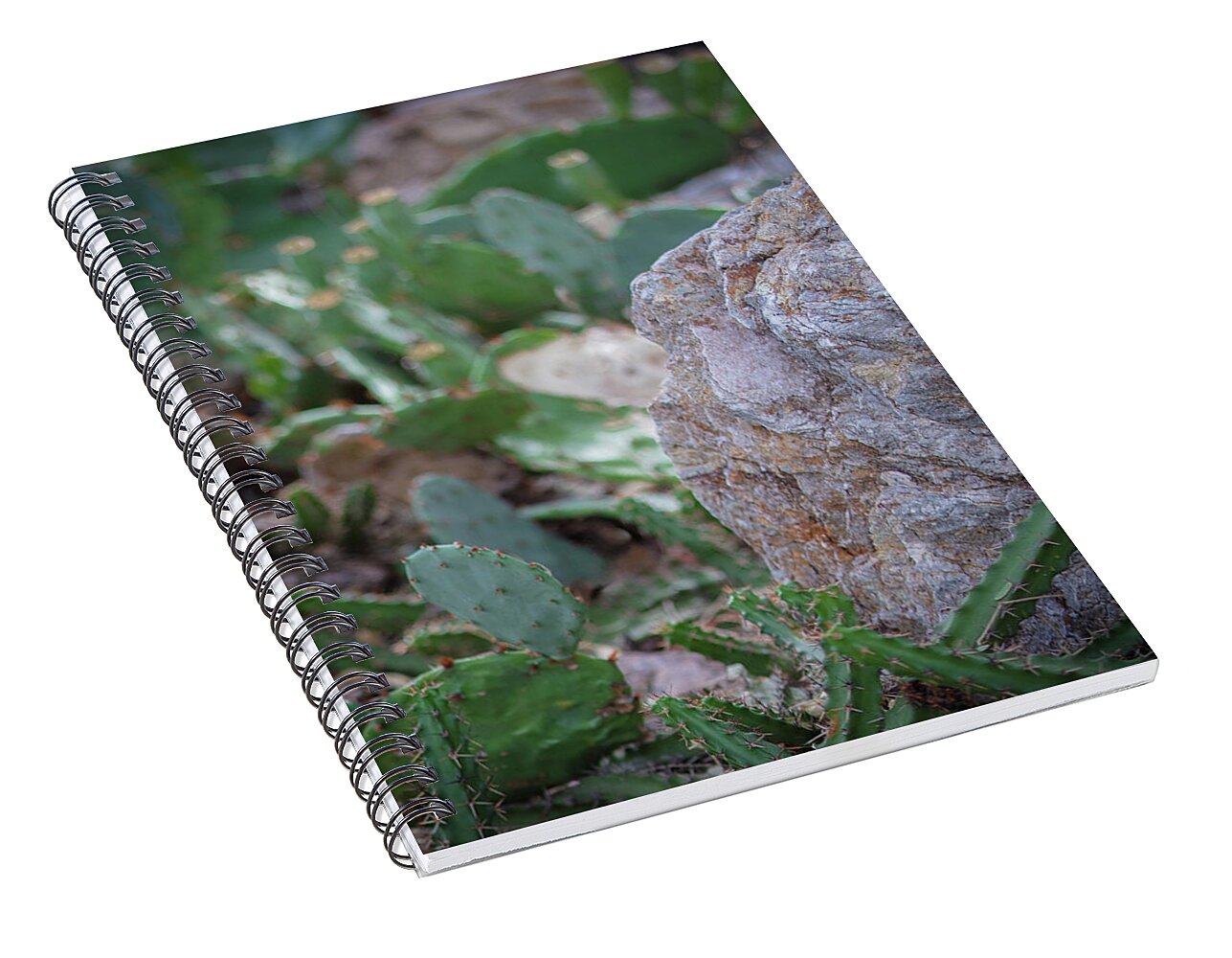 Cacti IV - Spiral Notebook