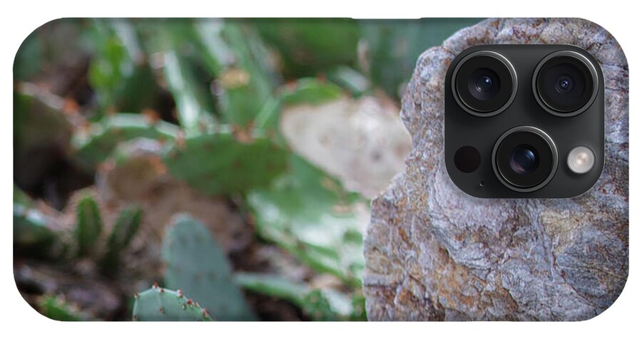 Cacti IV - Phone Case