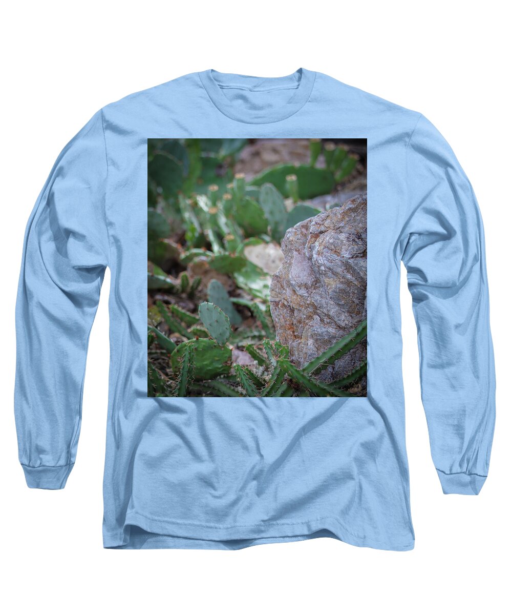 Cacti IV - Long Sleeve T-Shirt