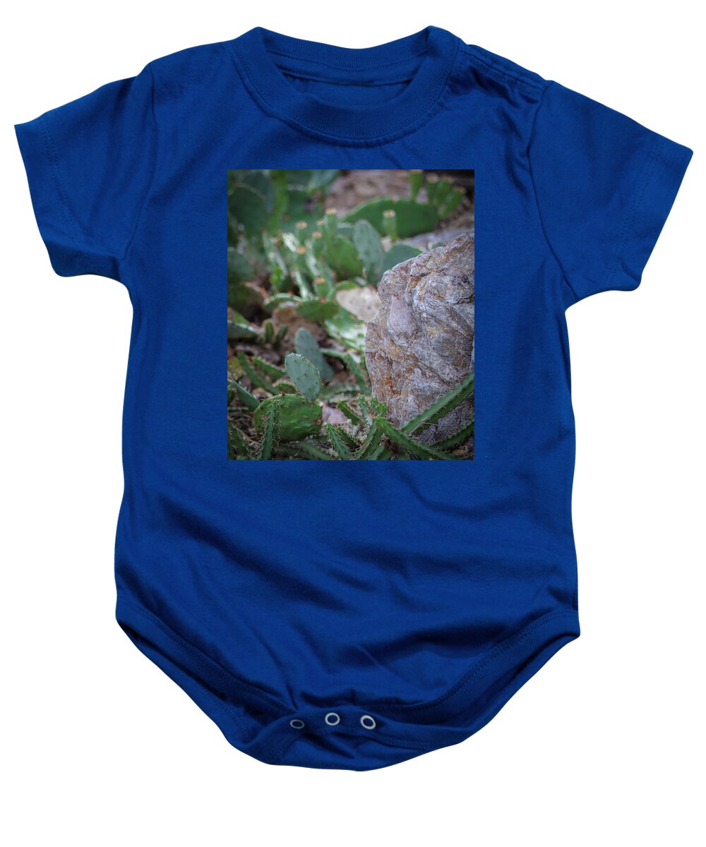Cacti IV - Baby Onesie