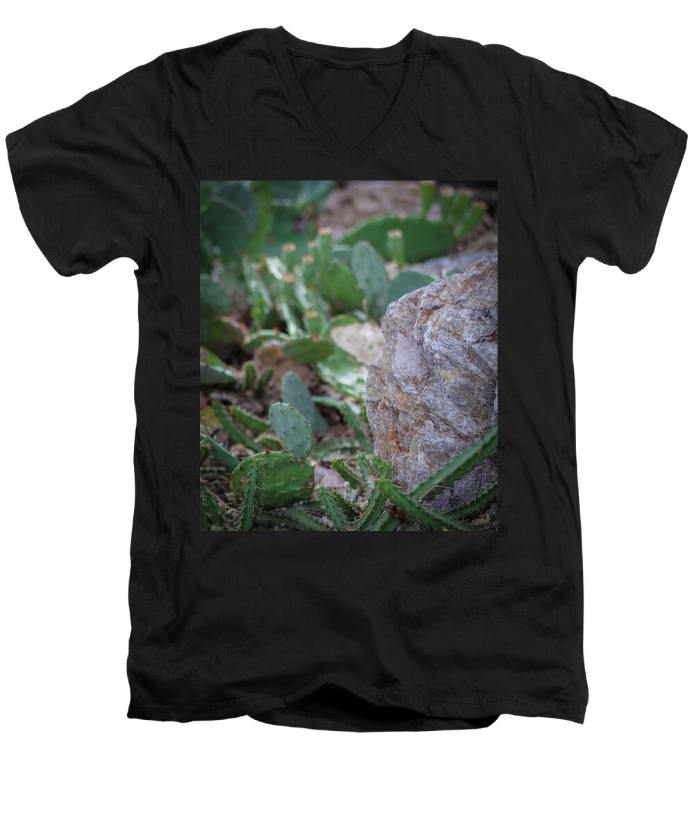 Cacti IV - Men's V-Neck T-Shirt