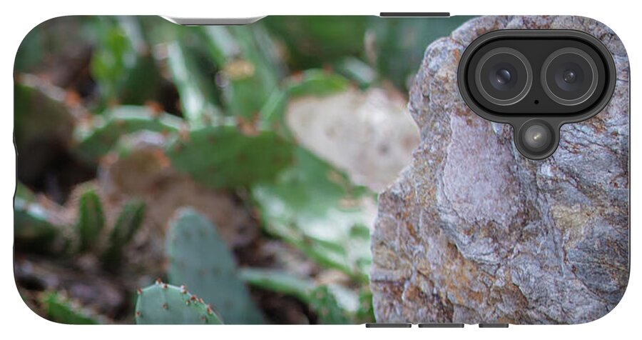Cacti IV - Phone Case