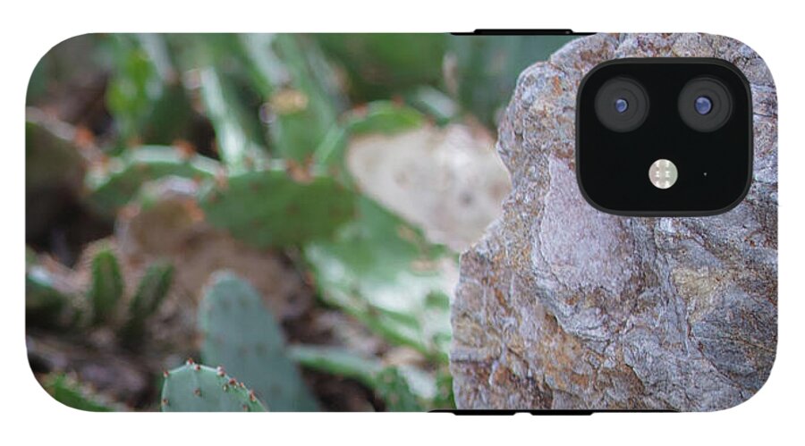 Cacti IV - Phone Case