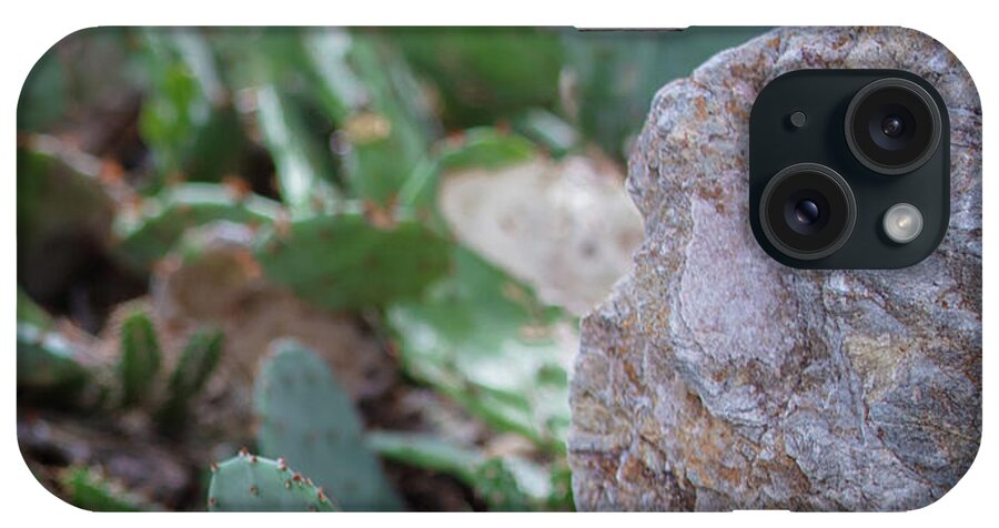 Cacti IV - Phone Case