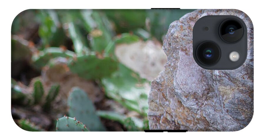 Cacti IV - Phone Case
