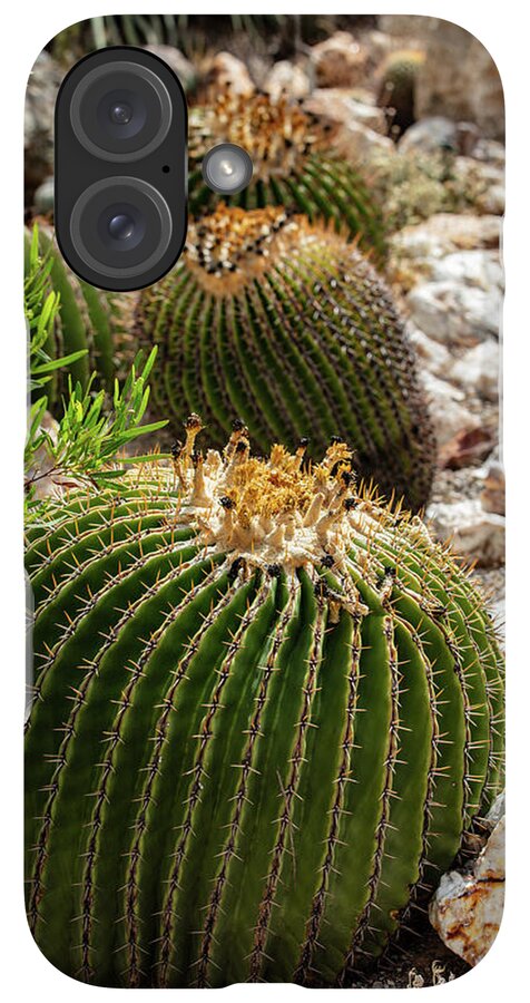 Cacti - Phone Case