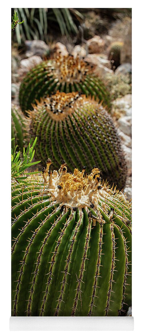 Cacti - Yoga Mat