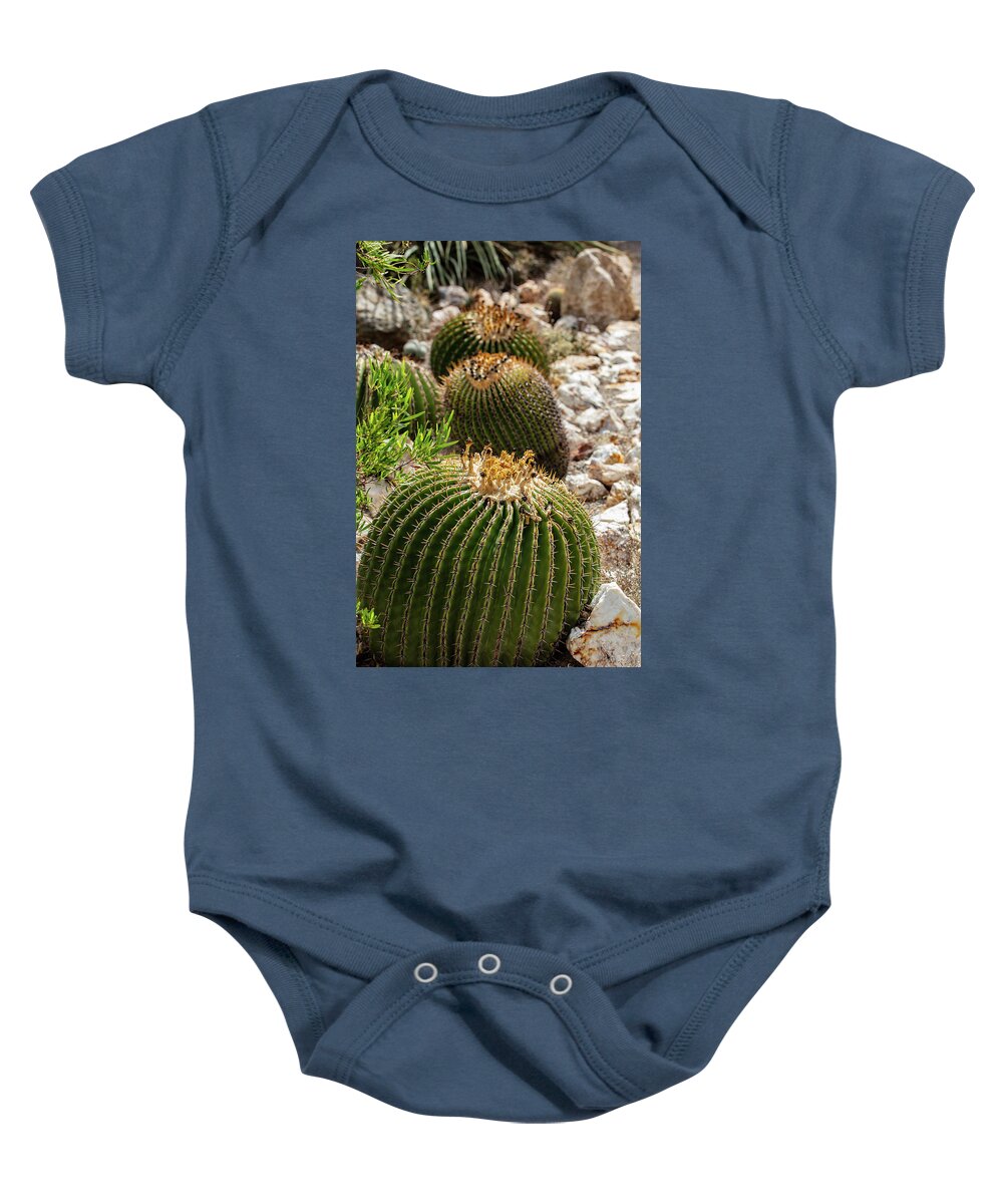 Cacti - Baby Onesie