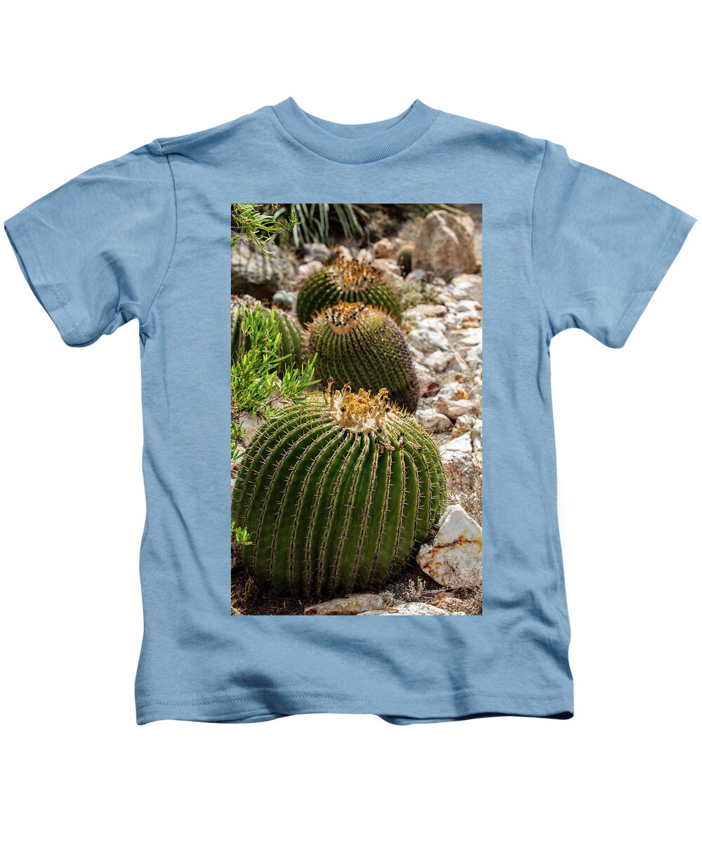 Cacti - Kids T-Shirt